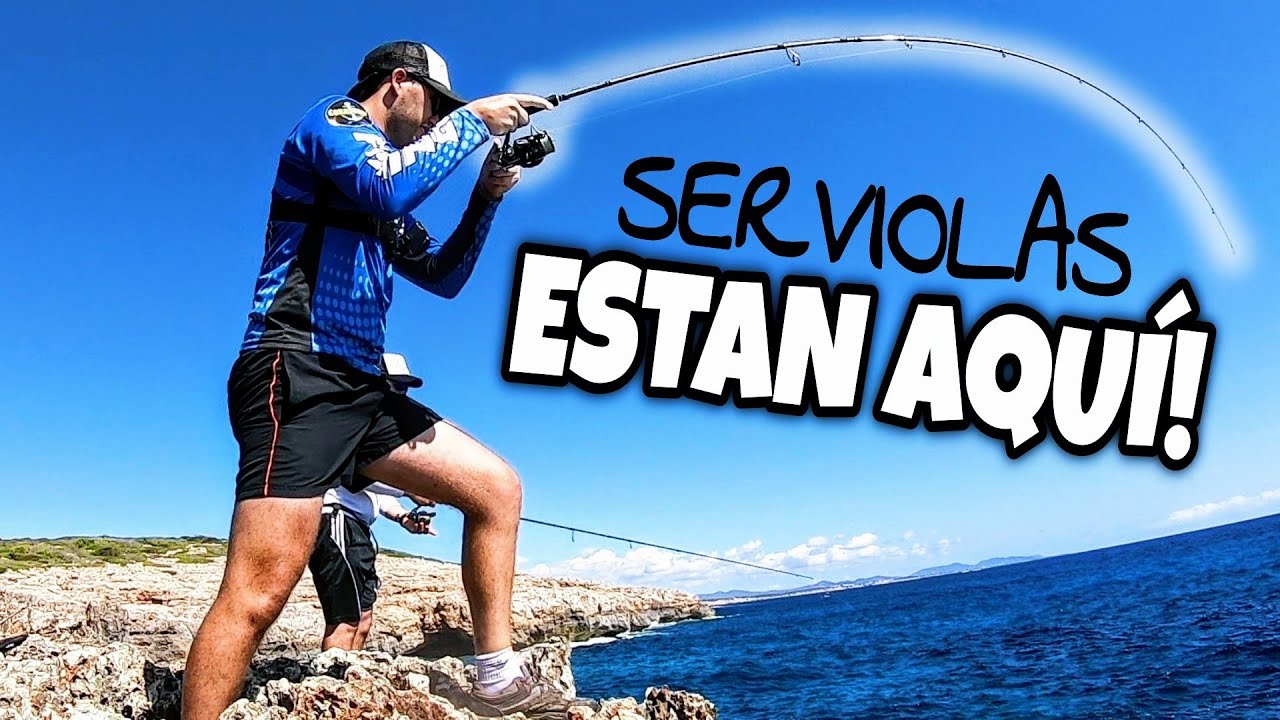 PESCA de SERVIOLAS a SPINNING desde costa 🐟 *¡MUCHAS CAPTURAS!* Las sacamos de 2 en 2! 💥💪🏻