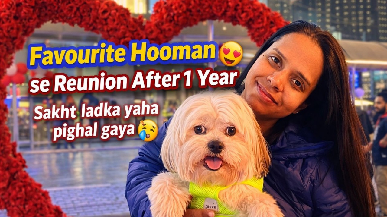Sakht Ladka Finally Pighal Gaya 😭❤️ | Dog Meets Favourite Human After 1 Year