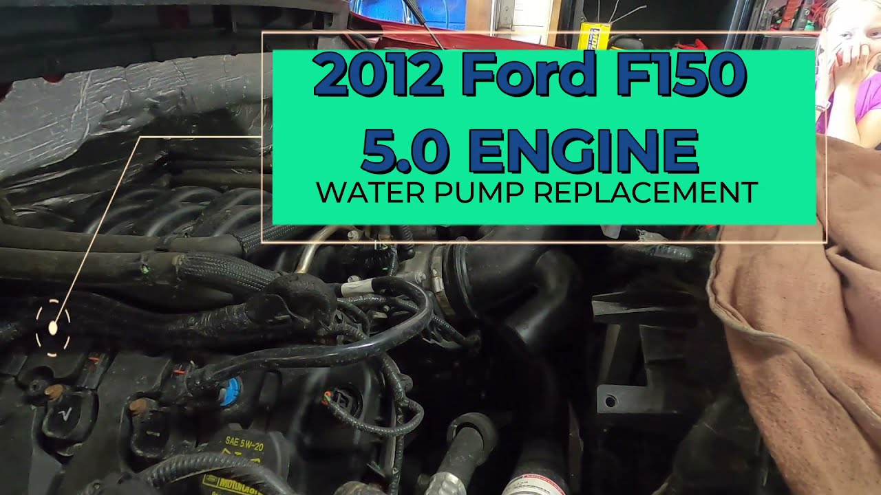 2012 FORD F150 5.0 WATER PUMP REPLACEMENT