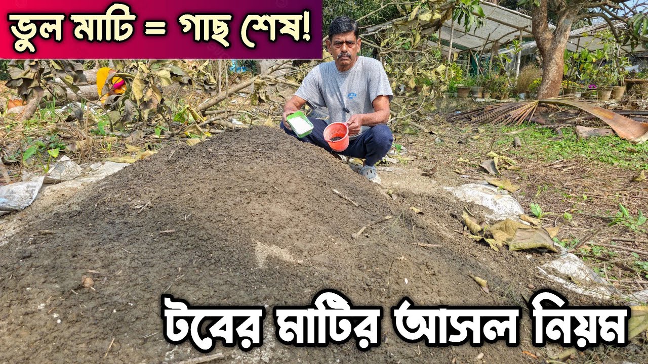 উপযুক্ত মাটি ও PH ঠিক না থাকলে গাছ ভালো হয় না।