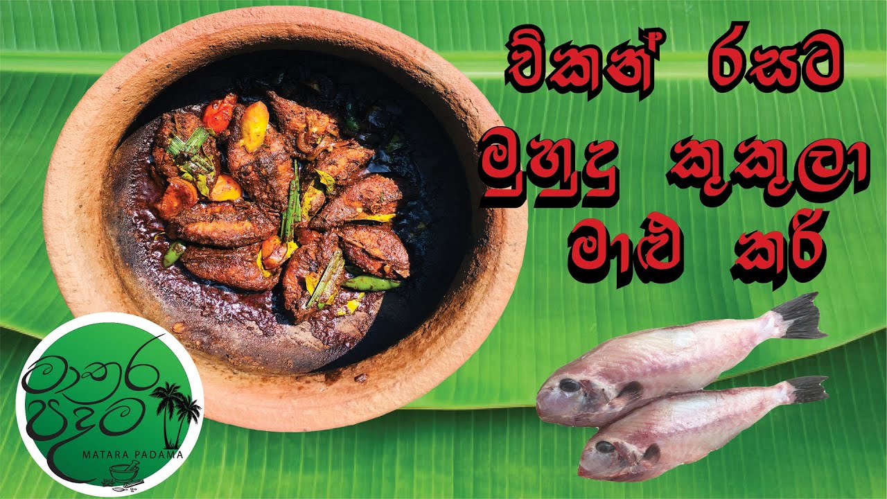 Chicken flavored Muhudu kukula fish ( sea chicken fish) - චිකන් රසැති මුහුදු කුකුලා මාලු | මාතර පදම
