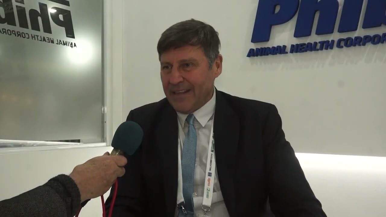 Avicola en Conjunto con Porcinos 2025 - Alimentos y Regiones