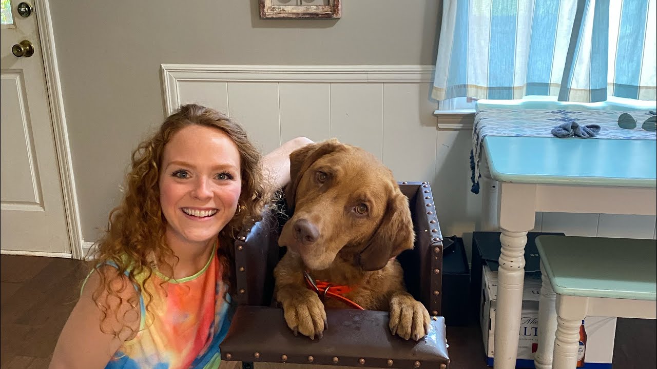 Feeding my dog with megaesophagus in his Bailey chair
