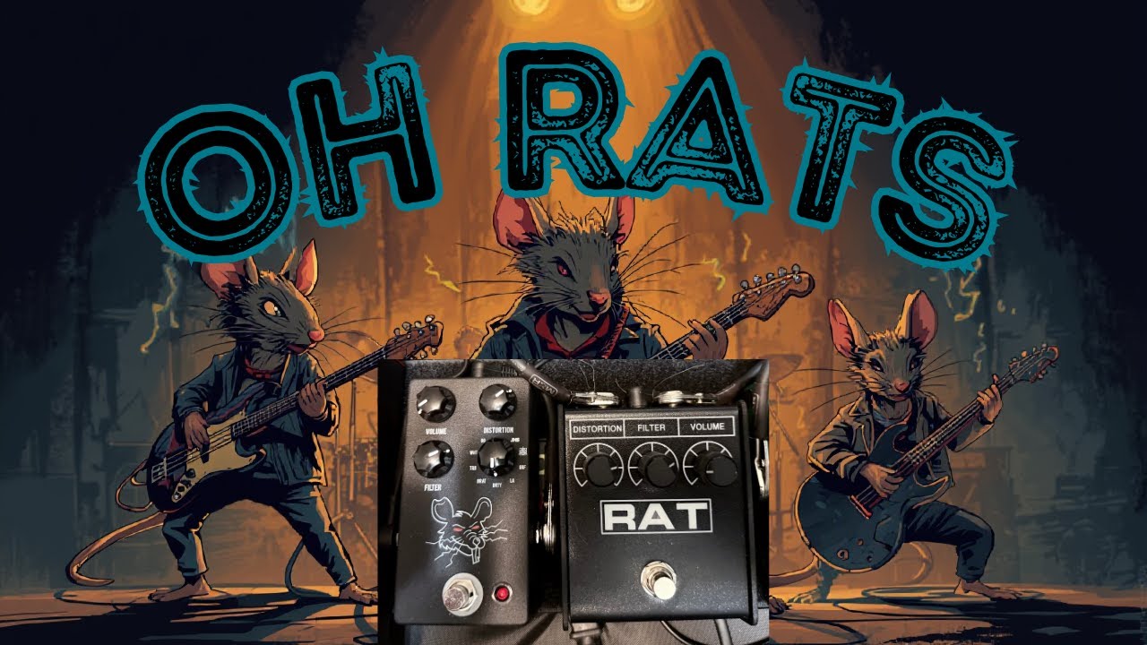 Oh Rats - A Review of the Pro Co Rat and the JHS Pedals Pack Rat