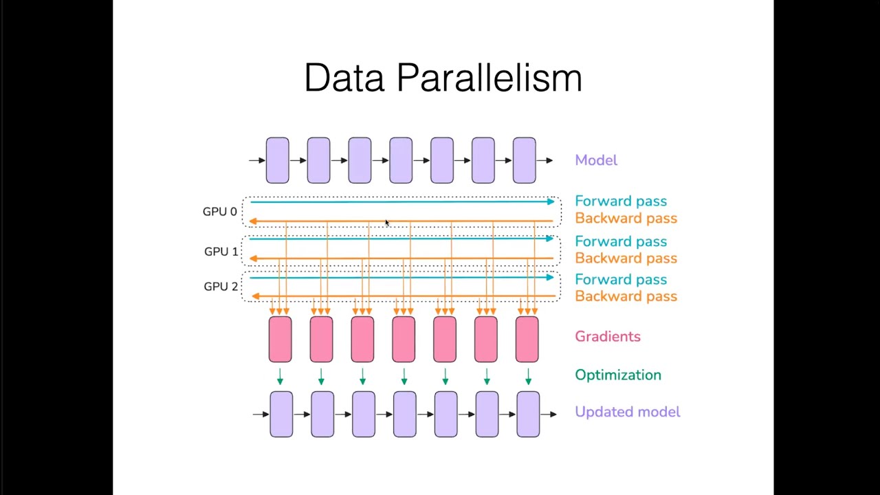 CMU Advanced NLP Fall 2025 (18): Parallelism and Distributed Training