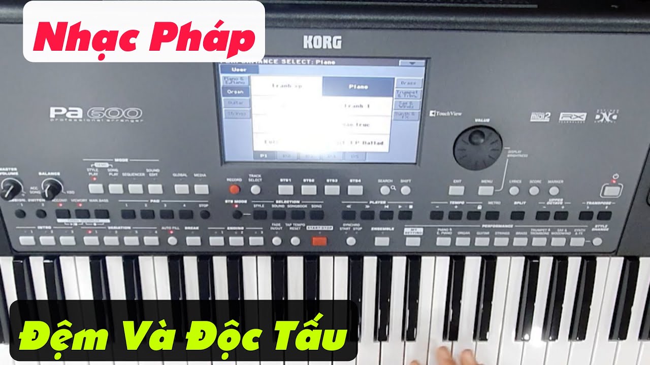 Tình Cho Không Biếu Không | Hướng Dẫn Hòa Tấu, Đệm Hát | Mẹo Đệm Hát