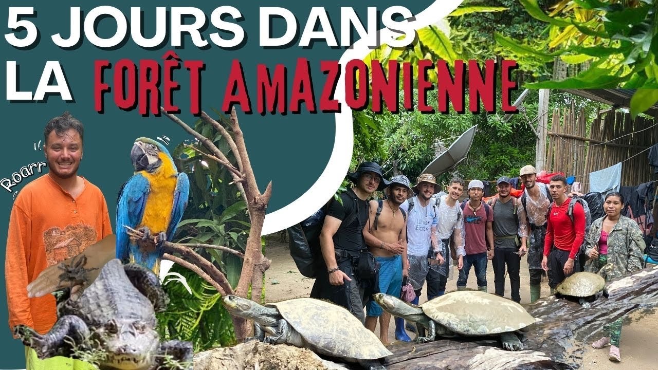 &Eacute;PISODE 9 : ON PASSE 5 JOURS EN AMAZONIE (ROAD TRIP EN AM&Eacute;RIQUE DU SUD) ON A VU UN ANACONDA !