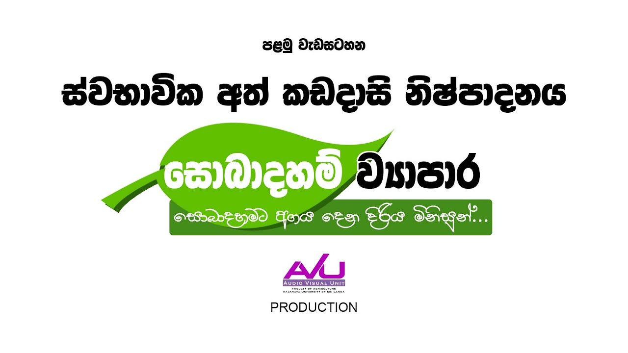 ස්වභාවික අත් කඩදාසි නිෂ්පාදනය| Episode 01 | සොබාදහම් ව්‍යාපාර |