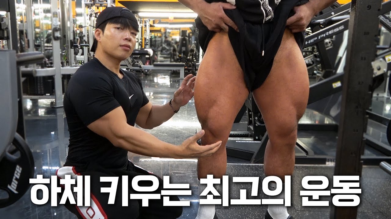 스쿼트 없이 황소 하체 만드는 팁 공개🔥【하체 루틴】