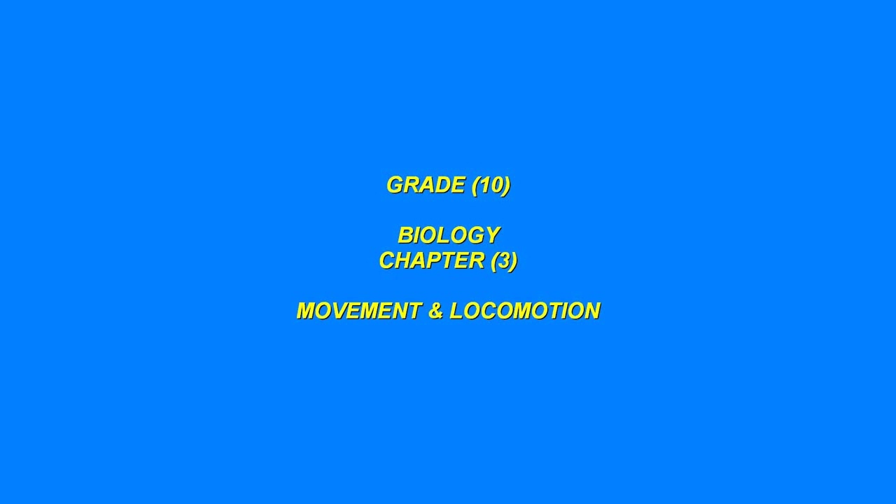 Grade 10 Chapter 3 Locomotion in Fish