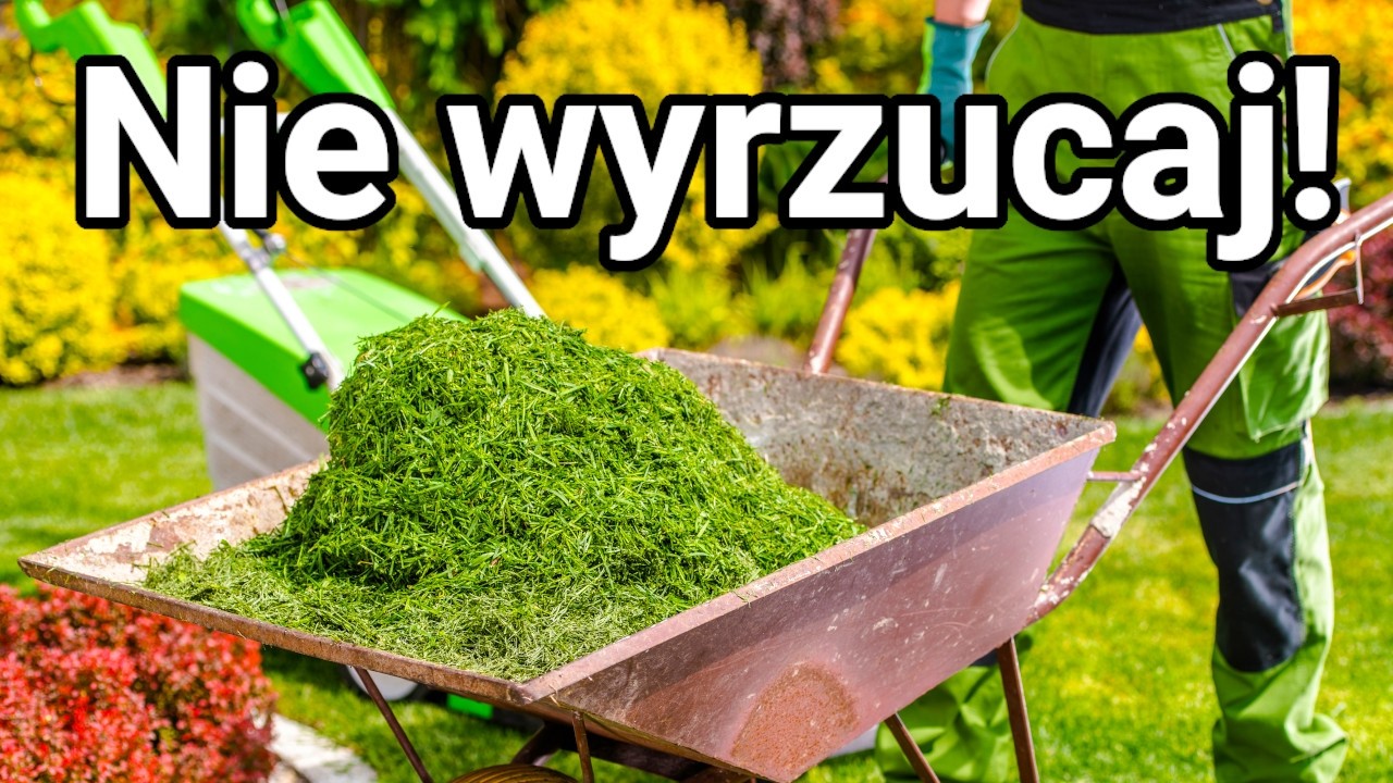Zobacz, a już nigdy nie wyrzucisz skoszonej trawy!