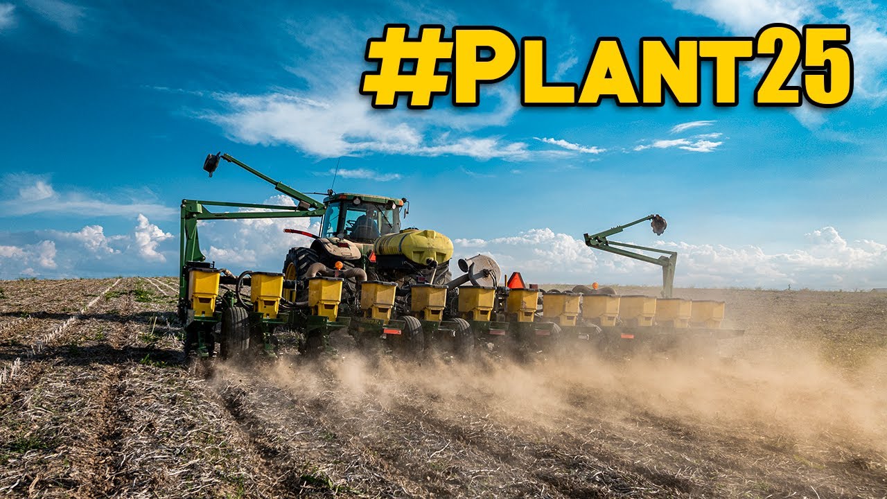 Planting Corn 2025