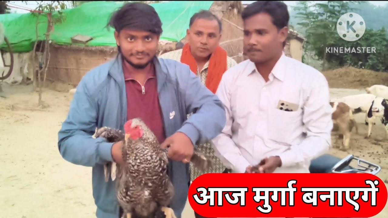 आज मुर्गा बनाएगें Chicken Parti Ho Gai Bulli Ojha Vlogs