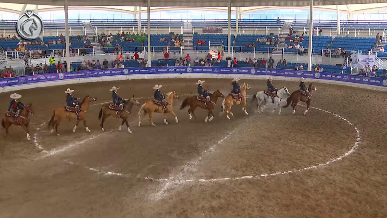 Campeonato Diamante. Escaramuzas