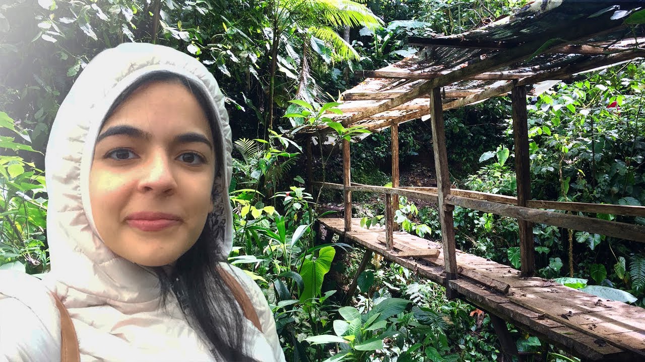 NOS ESCAPAMOS A UN BOSQUE | Nanegalito