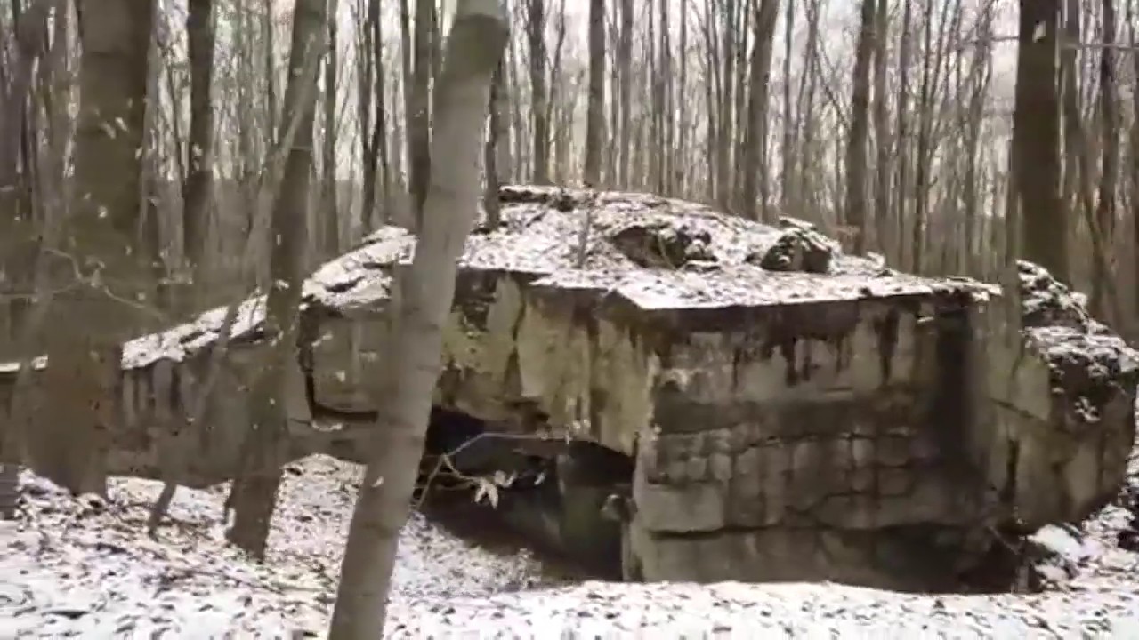 Westwallbunker im Großraum Göttelborn und eine Wildsau gibt Gummi "Tierschädel"