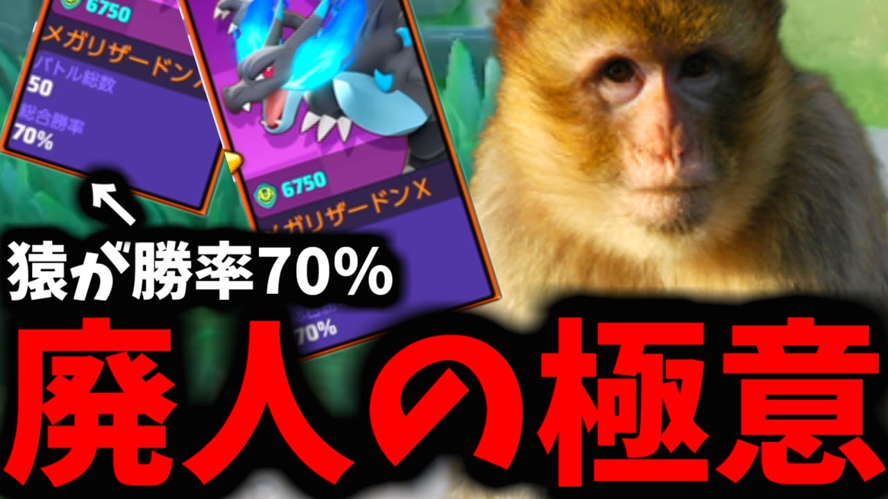 【勝率50戦70%】猿が勝てた「廃人の極意」がマジで強すぎるｗｗｗ【ポケモンユナイト】