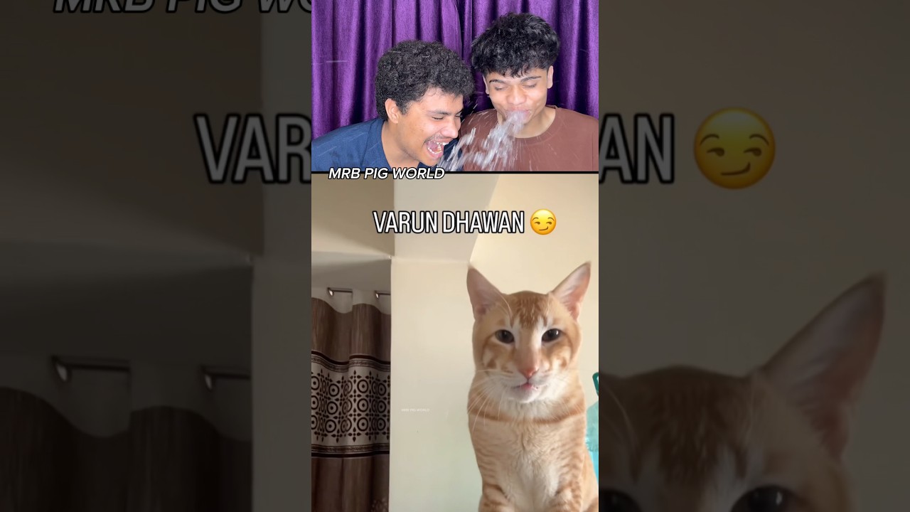 TRY NOT TO LAUGH 😂||WAIT FOR END||MRB PART-1012