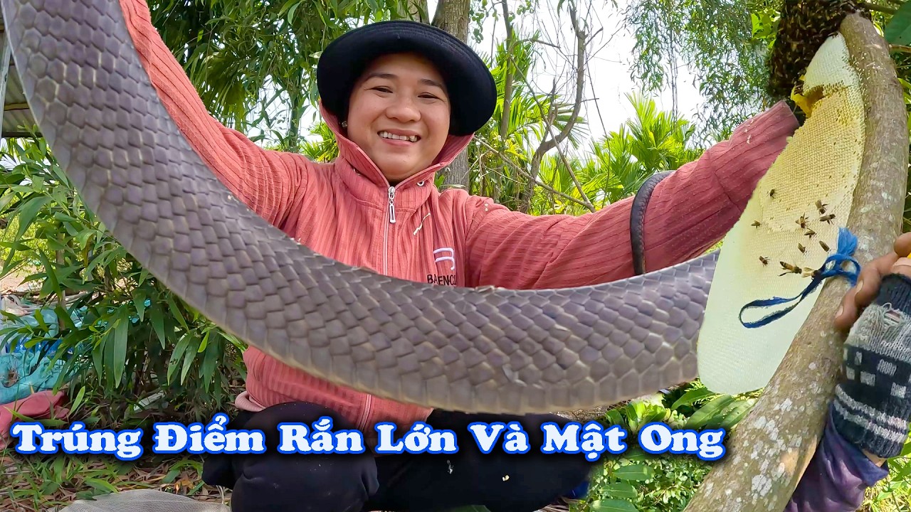 Dính Thì Bắt - Gặp Thì Lấy # CSBR # 469