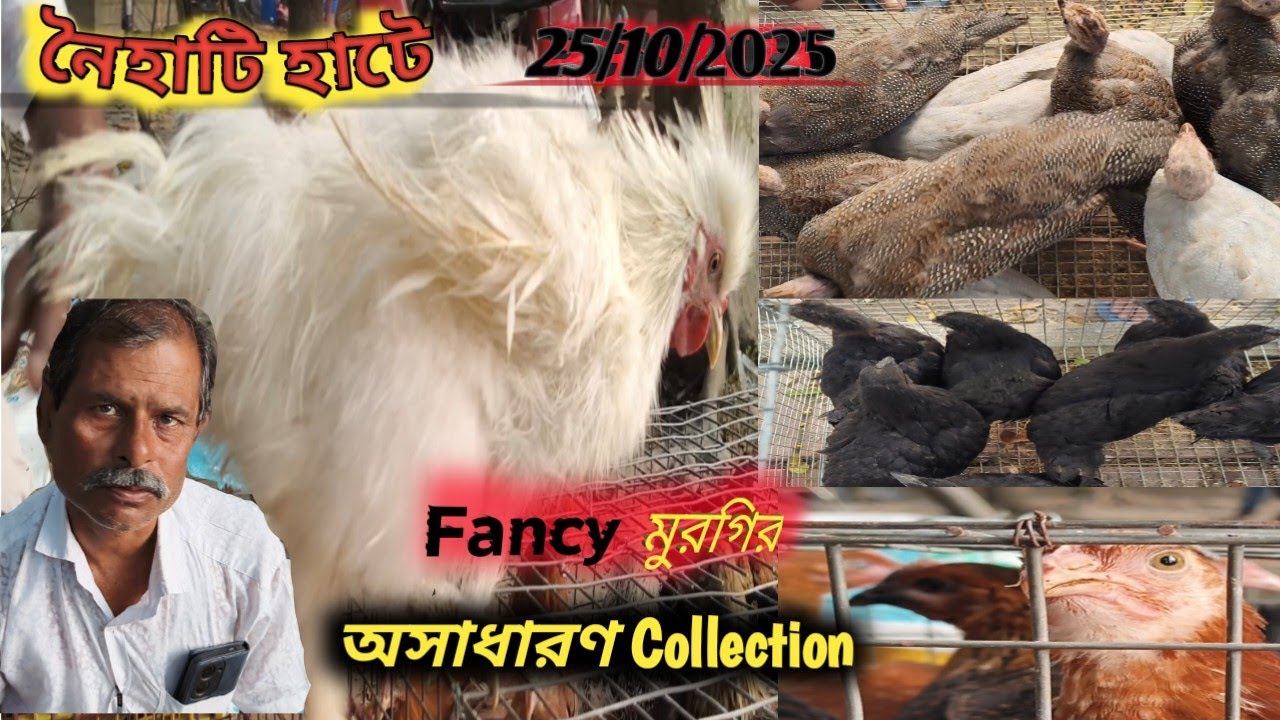Naihati হাটে অসাধারণ Fancy মুরগির Collection 🐔🐔#kolkata #naihati Liton,Bird & Fish Nature
