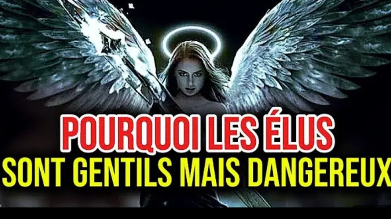 POURQUOI LES ELUS SONT GENTILS    MAIS TERRIFIANTS QUAND ON LES PROVOQUE