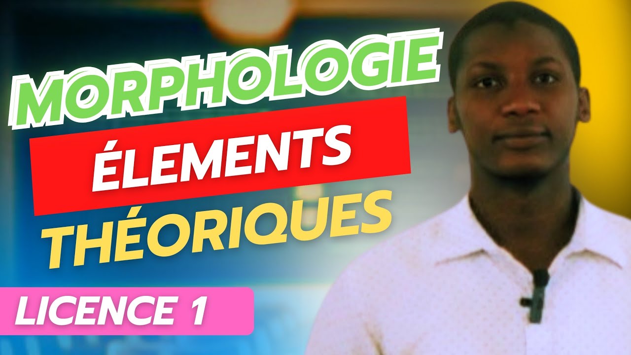 Analyses en Morphèmes :Éléments Théoriques