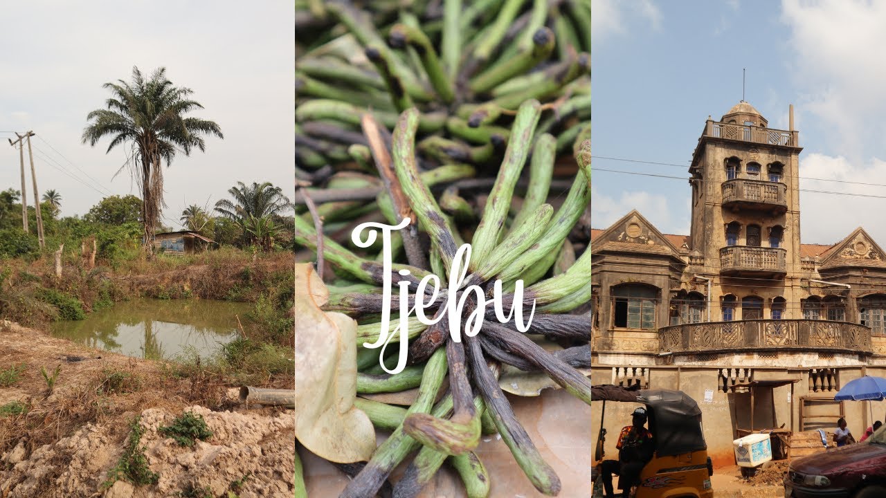 COME WITH US TO IJEBU ODO AGAMEGI PT. 2 | Cassava farming and Ijebu Ode Market