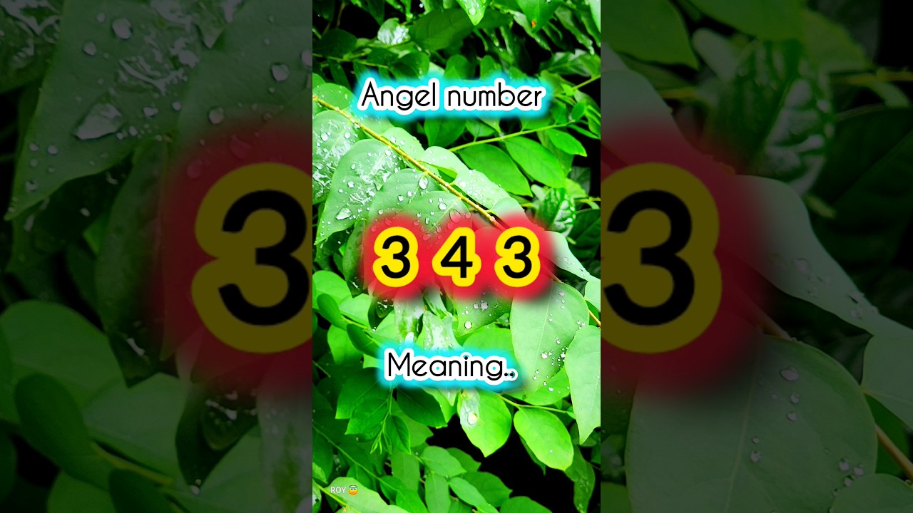 angel number 343 meaning  #angelnumbers #343