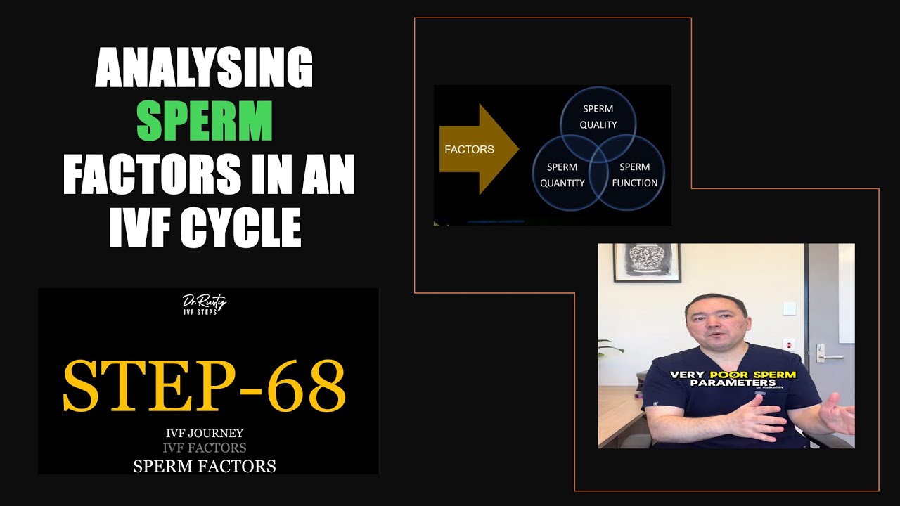 Sperm factors in failed IVF and infertility?! #ivfcycle #sperm #ivf #ttc #embryotransfer #icsi