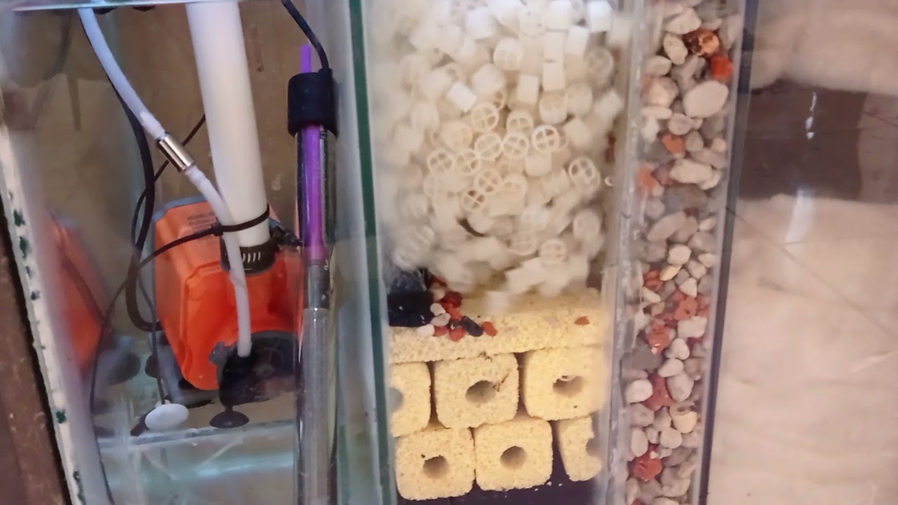 porque el filtro sump es mejor que el canister para el acuario