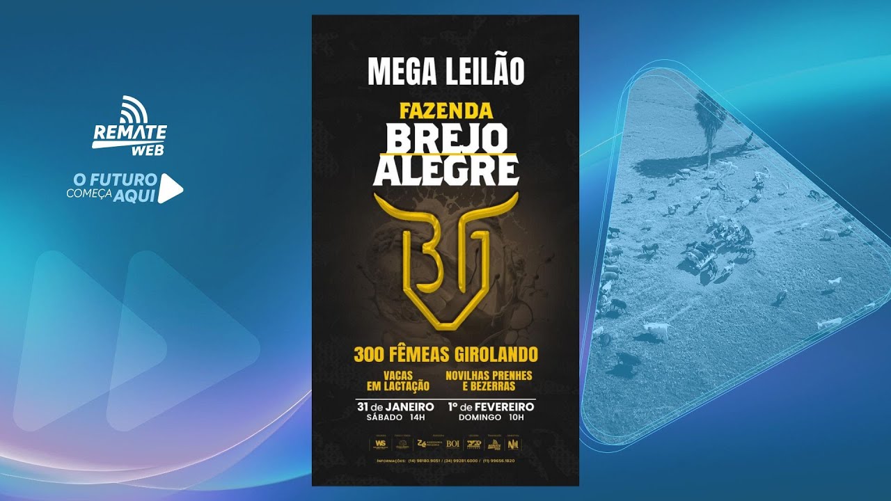 Mega Leilão Fazenda Brejo Alegre - Vacas em Lactação