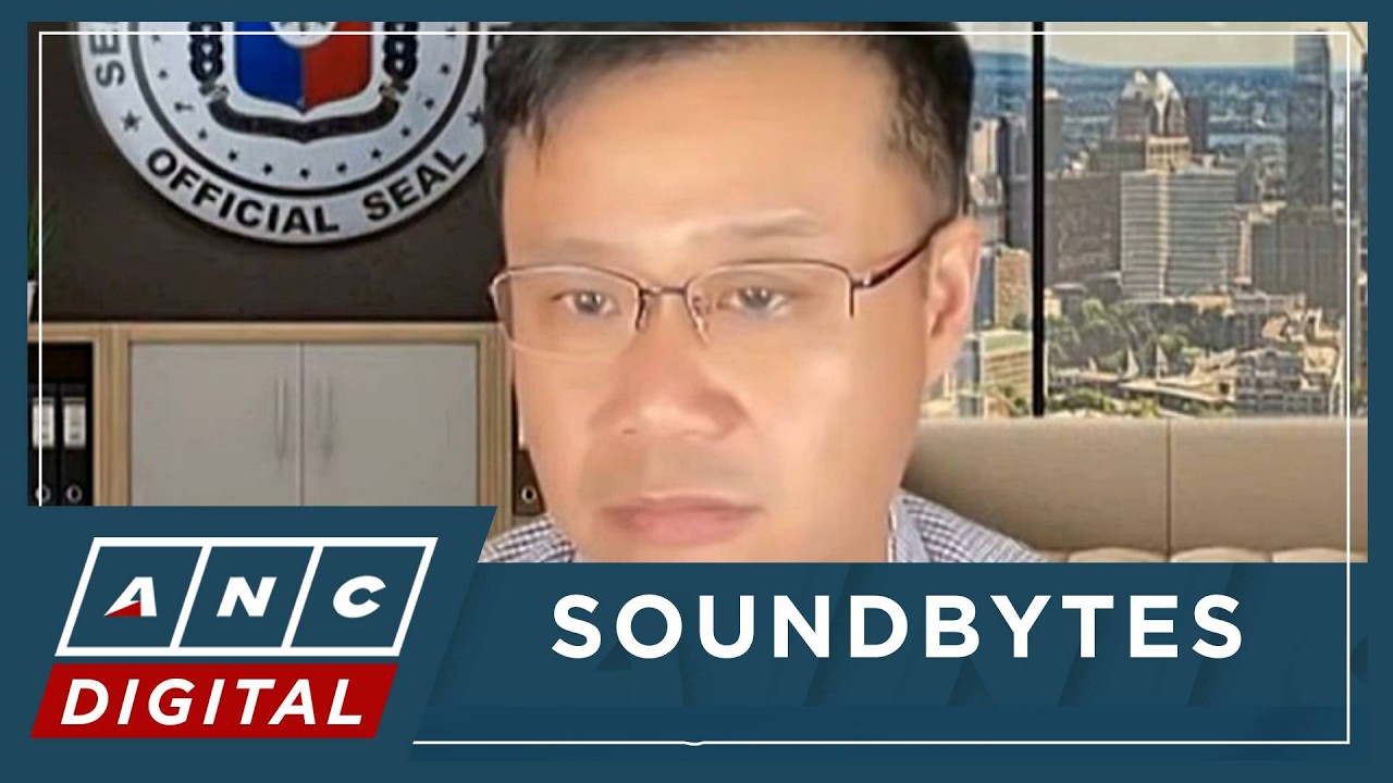 WATCH: Sen. Sherwin Gatchalian on panel recommendation to gov&rsquo;t amid oil crisis | ANC