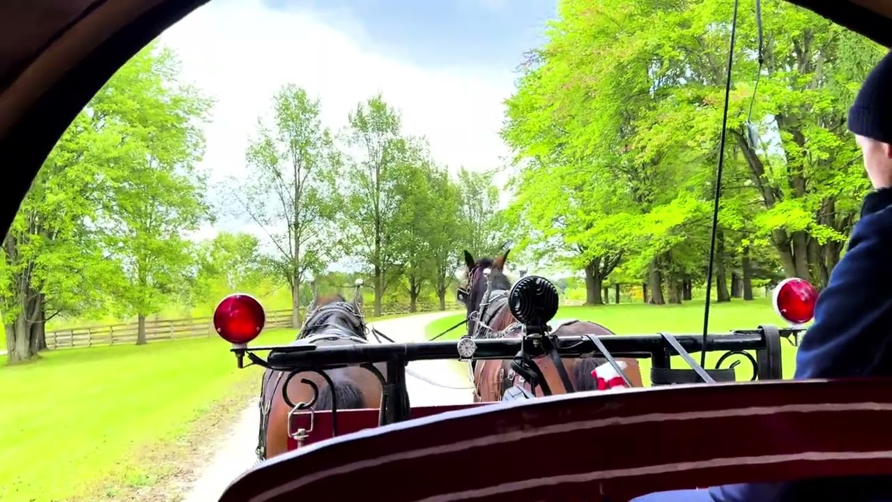 Exploring The Wade House - Ride In a Horse-drawn Wagon