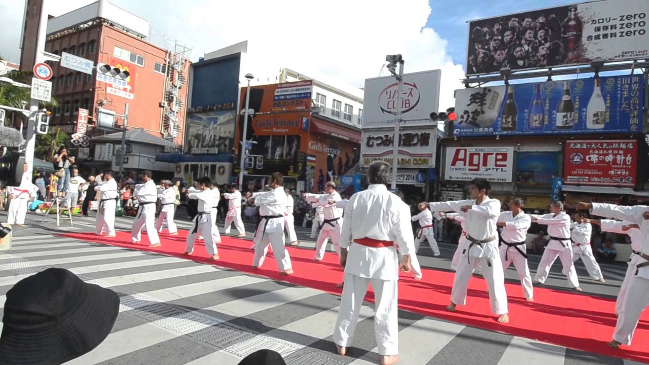 Martial Arts-  Learn Karate - Shorinkan Kata - Very Beautifull