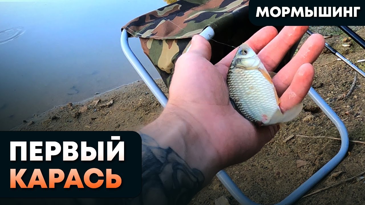 Первый карась на мормышинг! Ловим карася и не только на DAYO NANO PREDATOR 0,2-2 + DAYO LENA 900