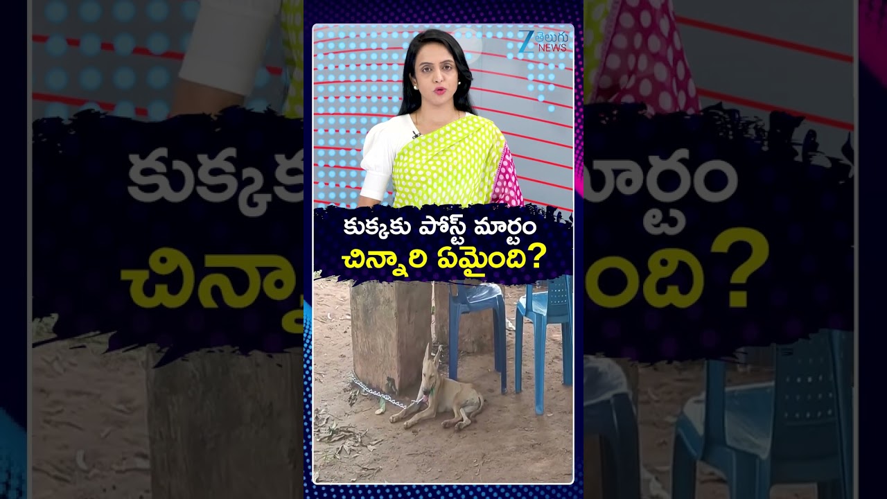 Tuni Gnaneshwari Missing Mystery | Dog Post-Mortem | క్కకు పోస్ట్ మార్టం చిన్నారి ఏమైంది? | ZEE News
