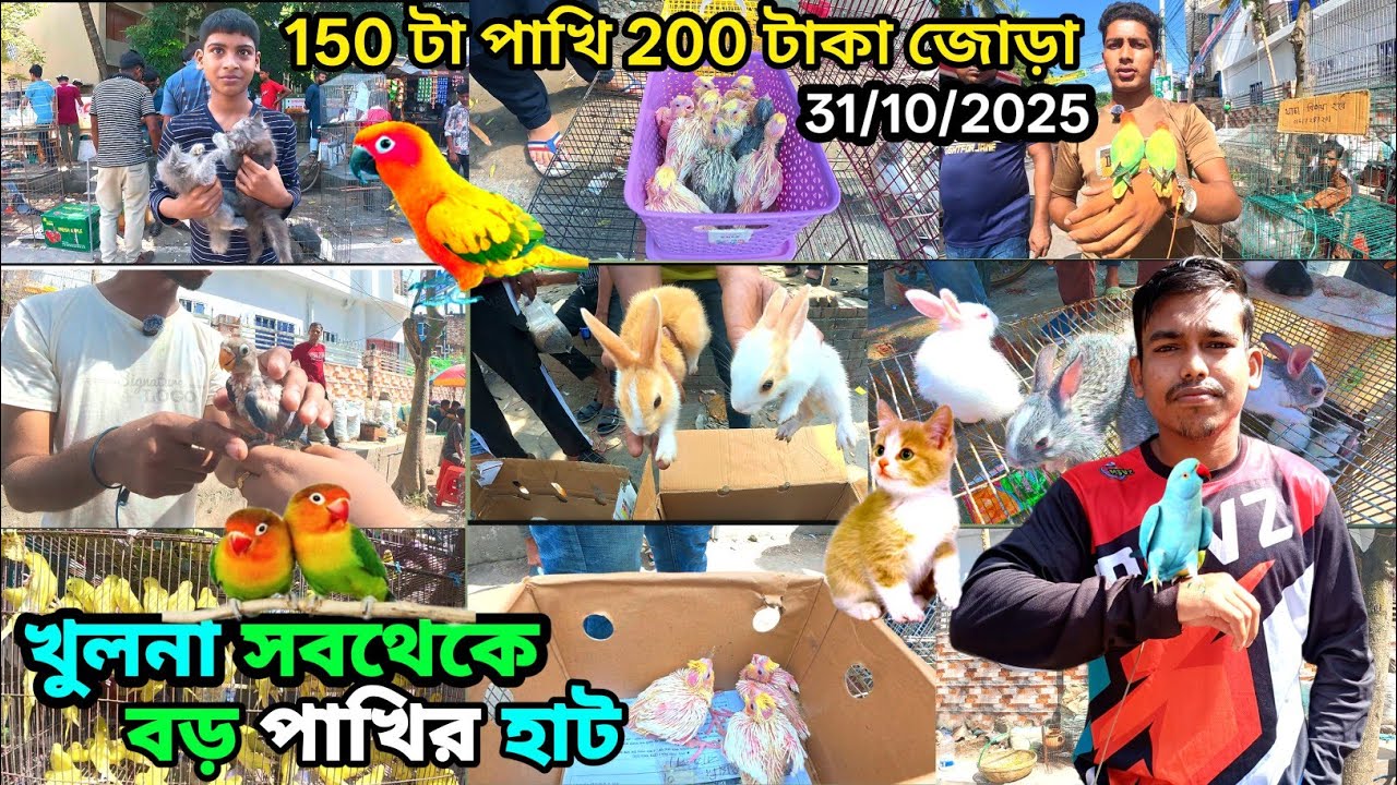 খুলনা পাখির🦜 হাট birds price Pet 🦨animal market ni Khulna birds 🐈price  #cat #birds #anime #pets 