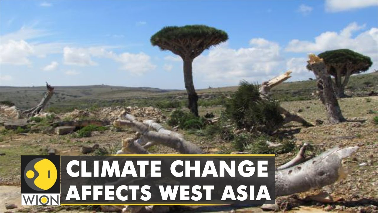 West Asia's upcoming Climate Crisis: Countries wake up to reality of climate change | WION
