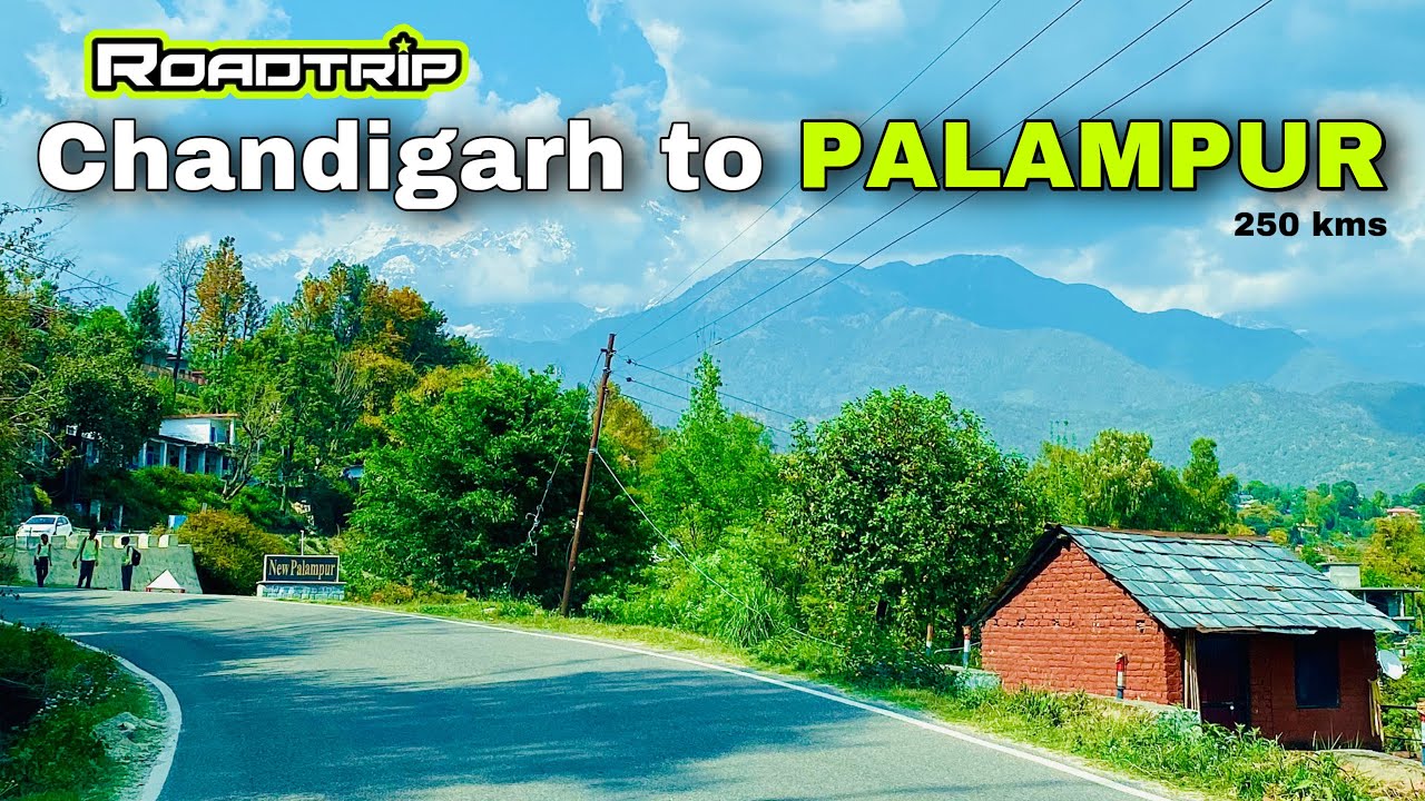 Chandigarh to PALAMPUR Himachal Pradesh | Roadtrip 250kms | Best Place to Visit in Himachal Ep1