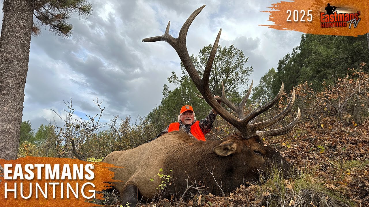 Elk Hunt Adventure in Southern Colorado | Eastmans Hunting TV