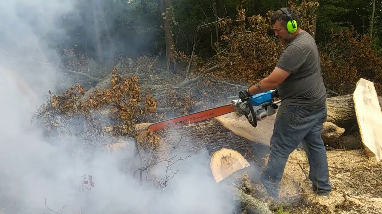 Stihl MS070 Clone Cutting Hickory