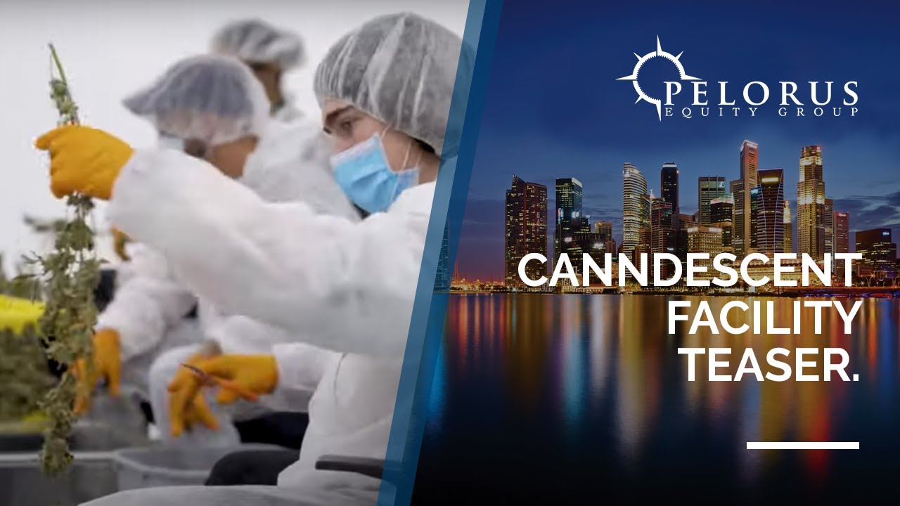 Canndescent Facility Teaser