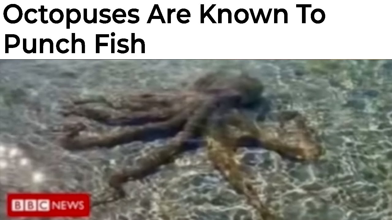 Science Memes