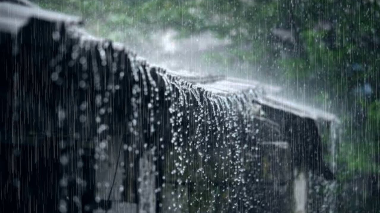If You Have Insomnia, All You Need Is This Rain Sound, 99% Guaranteed to Make You Sleep Soundly