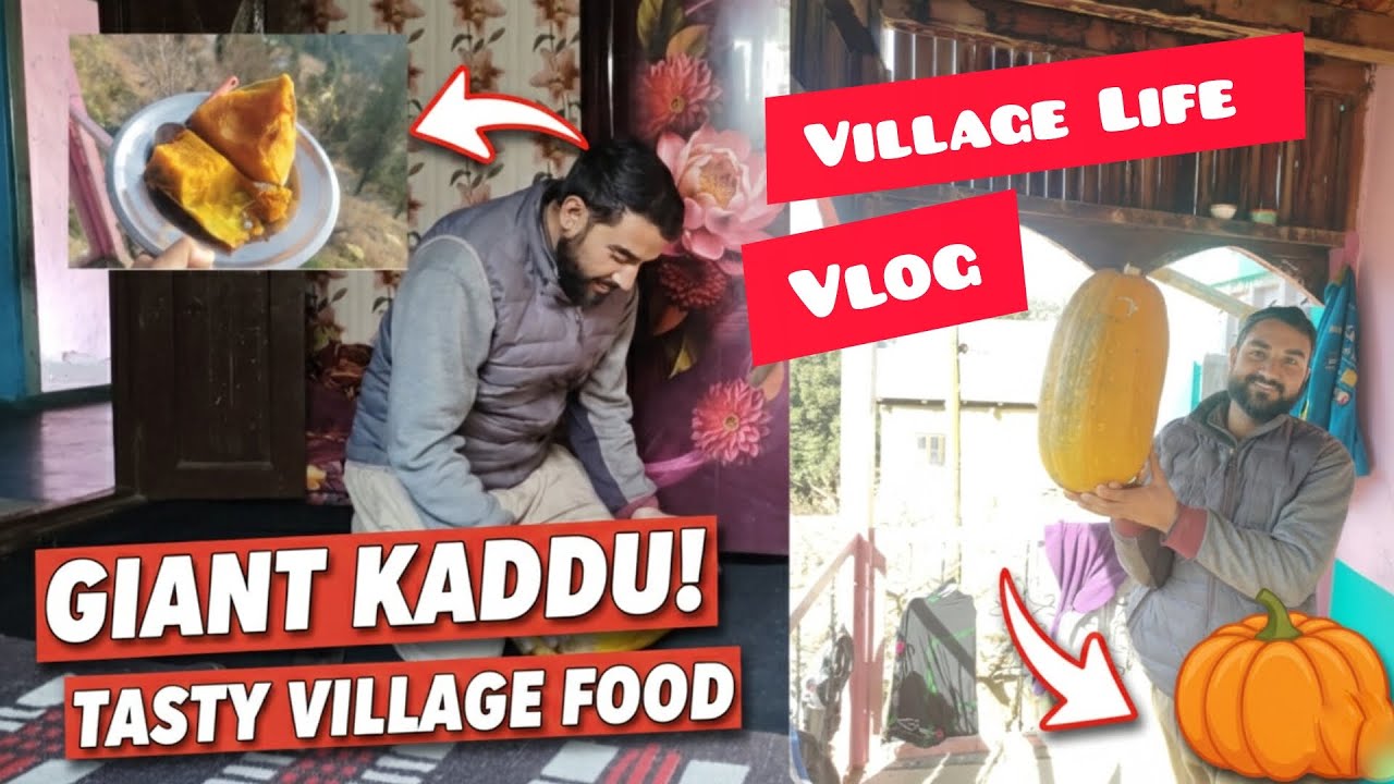 Vlog: Choti se Picnic Home 🏠 Town to Forest #Subscribe my New YouTube Channel 🙏❤️