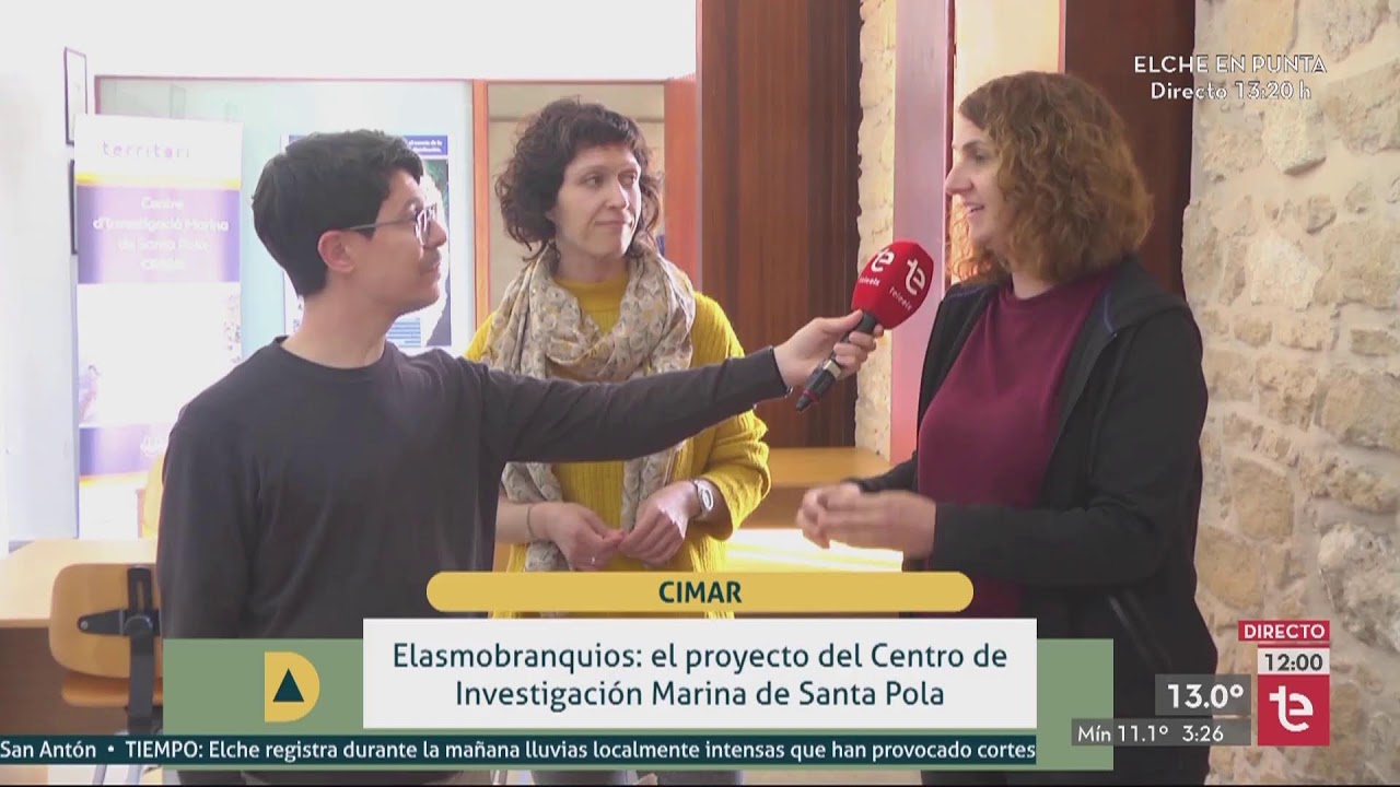 🔴 La actualidad de Elche en directo en DÍA A DÍA - 11/03/2026