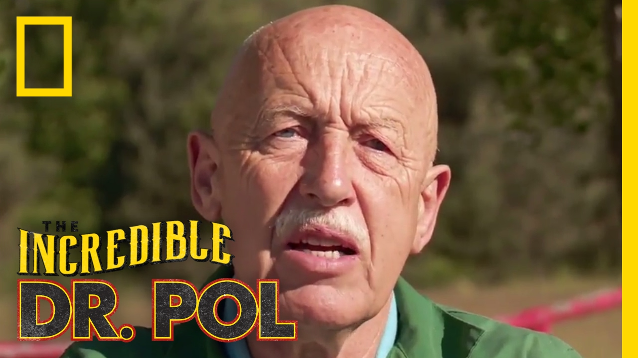 Treating a Horse with Heaves | The Incredible Dr. Pol