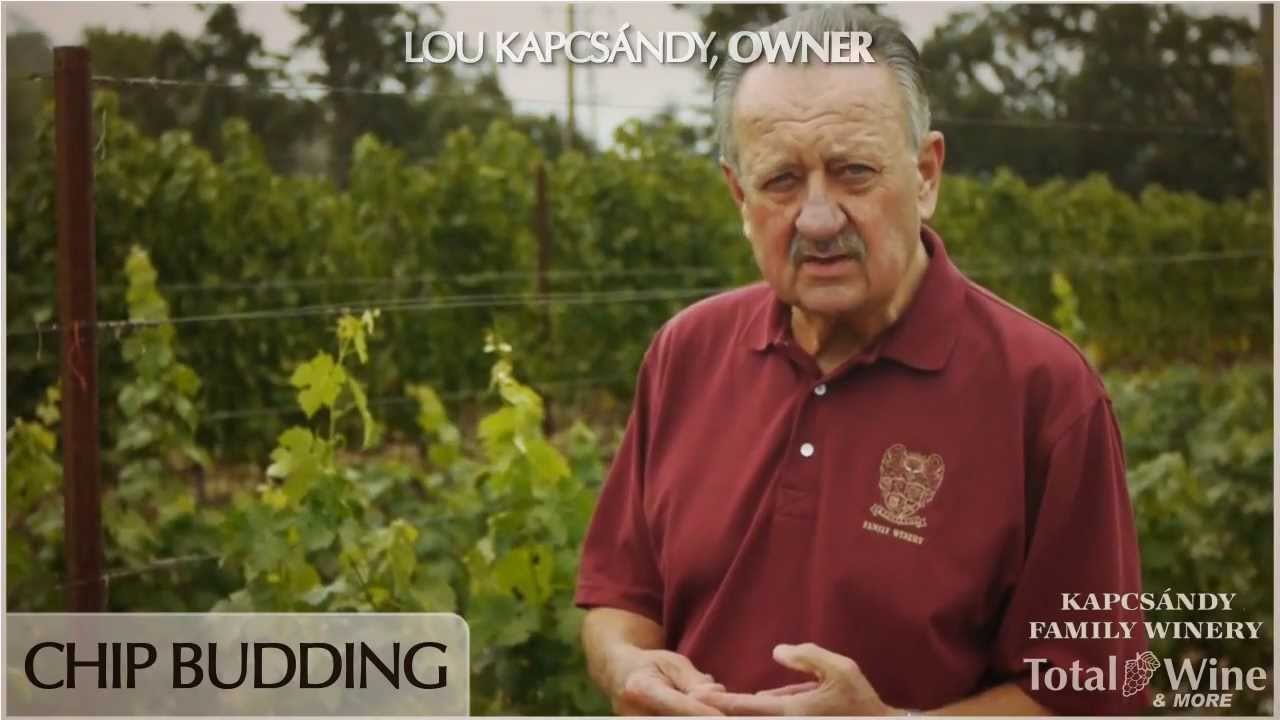 Kapscandy - Chip Budding