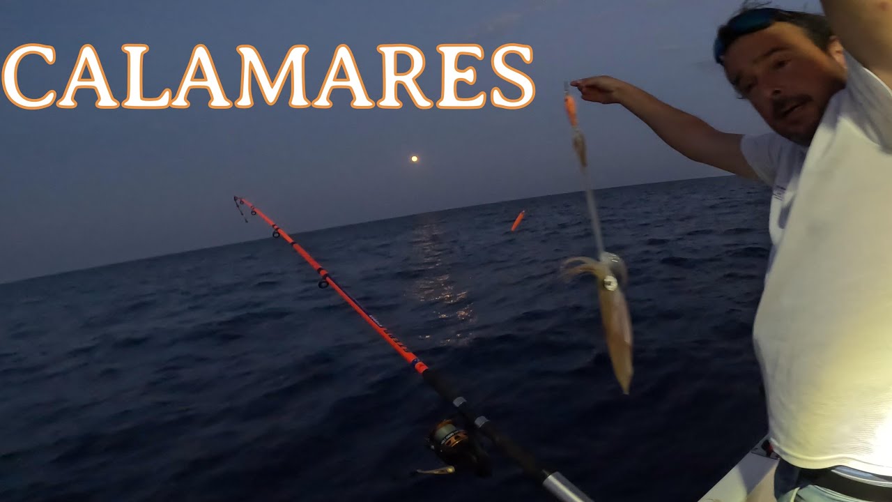 CALAMARES en VERANO