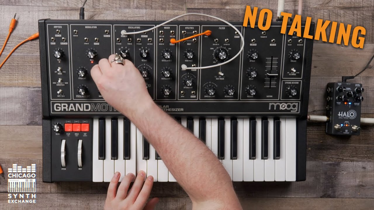Moog Grandmother | Chicago Synth Exchange